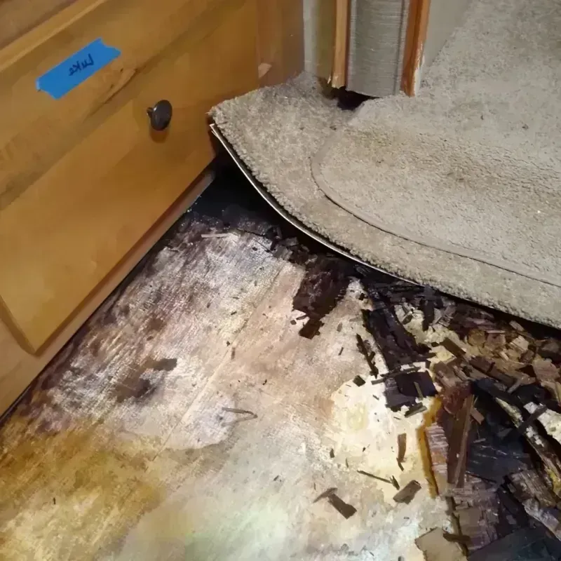 Wood Floor Water Damage in Browns Lake, WI